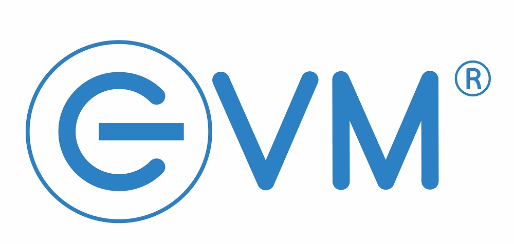 EVM logo